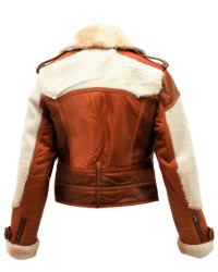 Untitled-design-32-1.png
